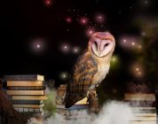 Understanding Owls in Dreams