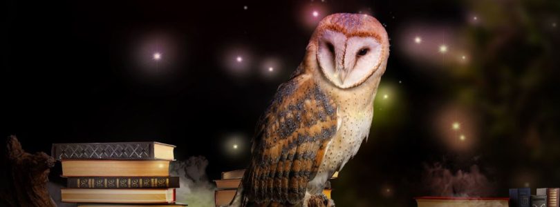 Understanding Owls in Dreams