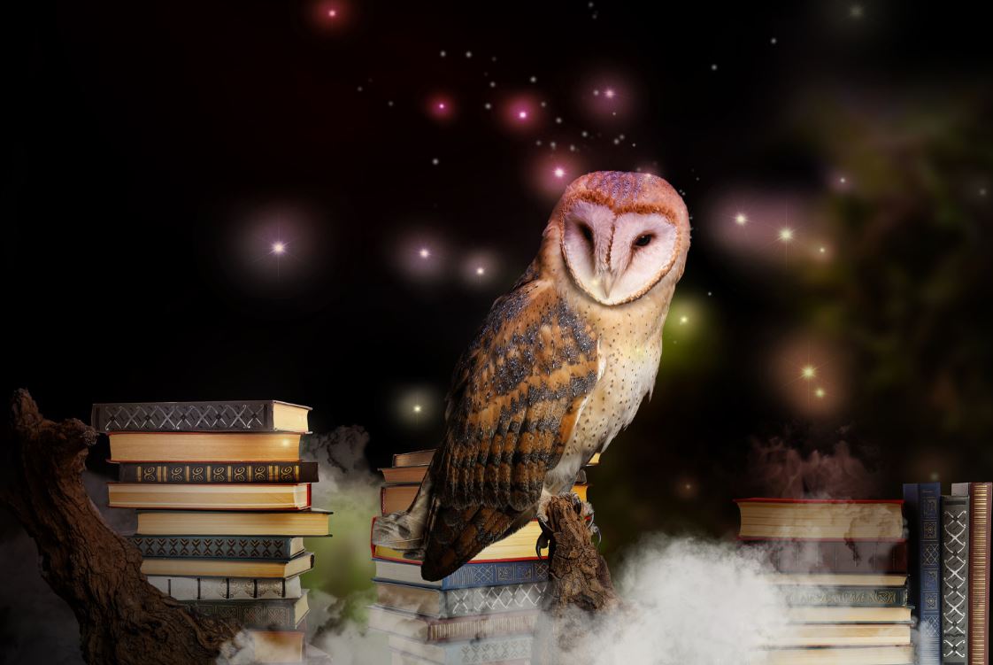 Understanding Owls in Dreams